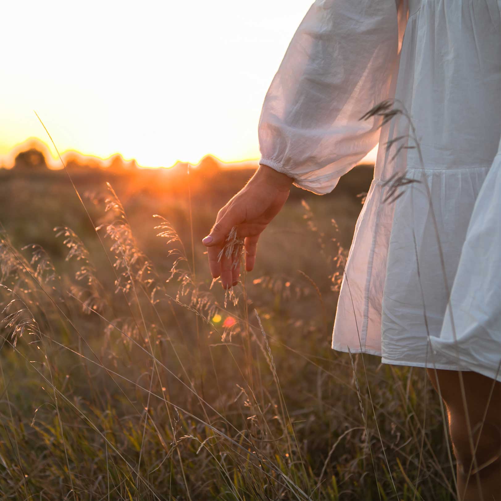 Die Hüfte einer Frau die mit der hand durch Weizen streift